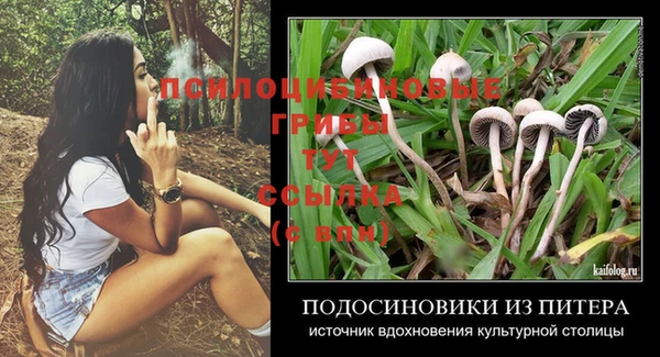 хмурый Вязники